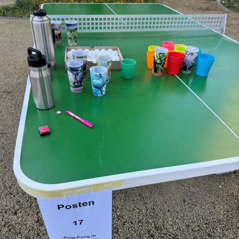 Spieltag 2. Vergrösserte Ansicht